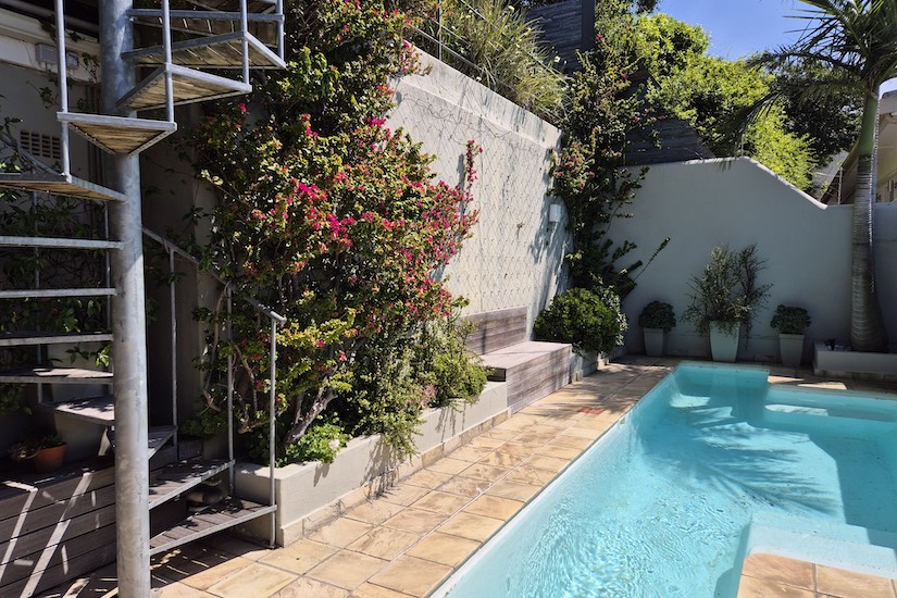 40 Napier Street - pool & terrace